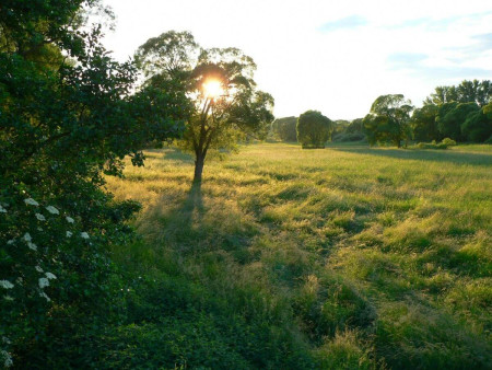 Landschaft